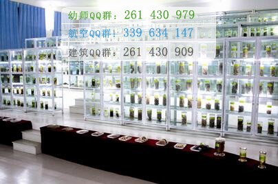 四川中醫(yī)藥高等?？茖W(xué)校
