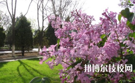 金昌技師學(xué)院2020年招生錄取分?jǐn)?shù)線(xiàn)