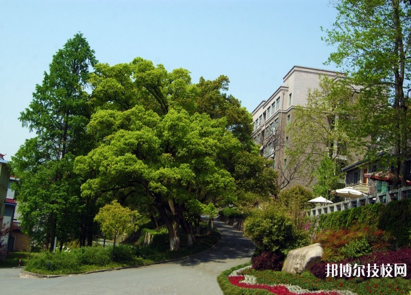 中國美術(shù)學(xué)院附屬中等美術(shù)學(xué)校2020年報名條件、招生要求、招生對象