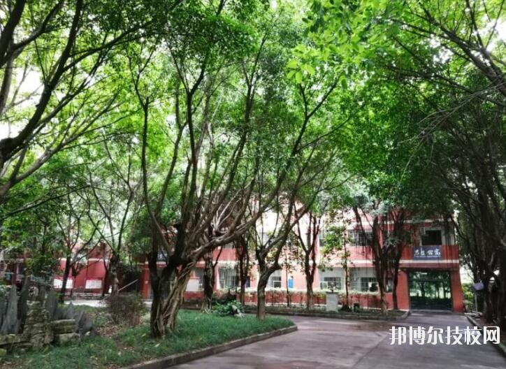 重慶舞蹈學(xué)校2020年報名條件、招生要求、招生對象