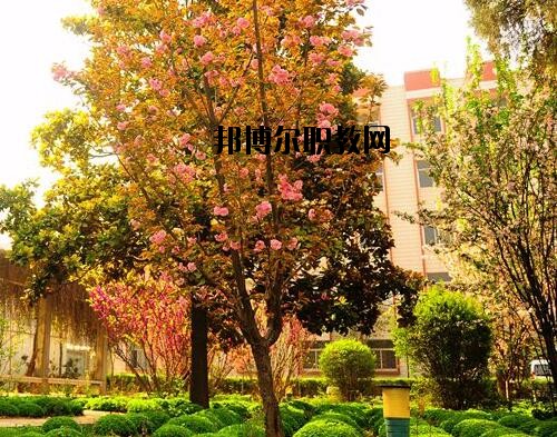 新鄉(xiāng)工業(yè)學(xué)校2021年報名條件、招生對象