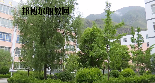 文縣職業(yè)技術(shù)學(xué)校2020年報(bào)名條件、招生要求、招生對(duì)象