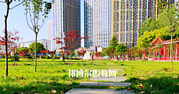 合肥飛躍學(xué)校2020年報名條件、招生要求、招生對象 