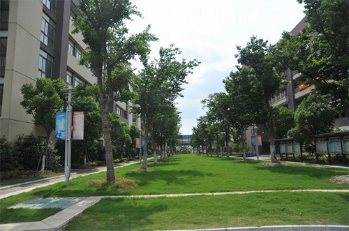 昆山花橋國際商務城中等專業(yè)學校怎么樣、好不好