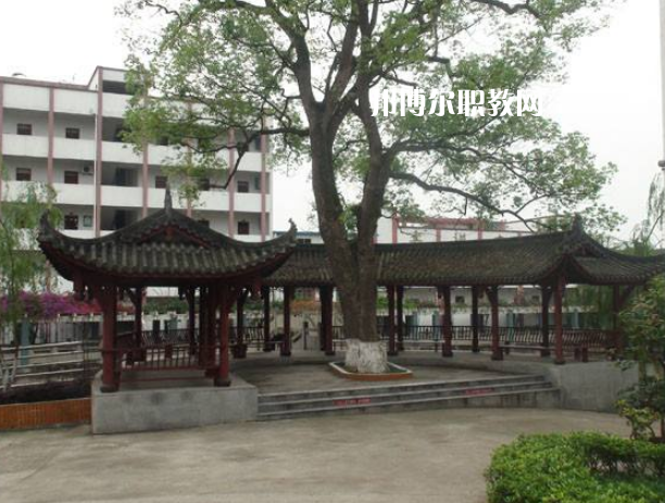 四川合江先市職業(yè)高級中學校怎么樣、好不好