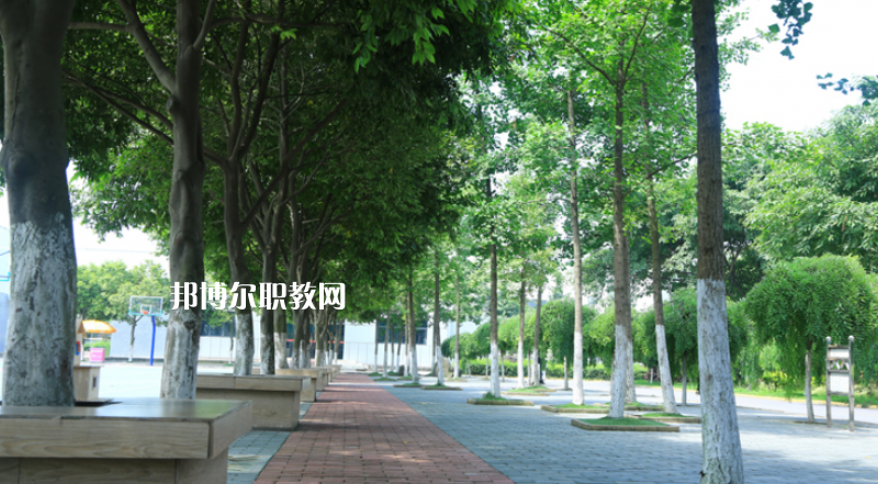 鎮(zhèn)雄縣職業(yè)高級中學2022年報名條件、招生要求、招生對象