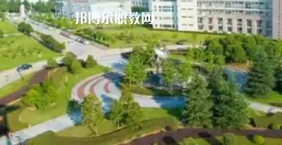 湖北高職?？圃盒Ｅ琶?0強