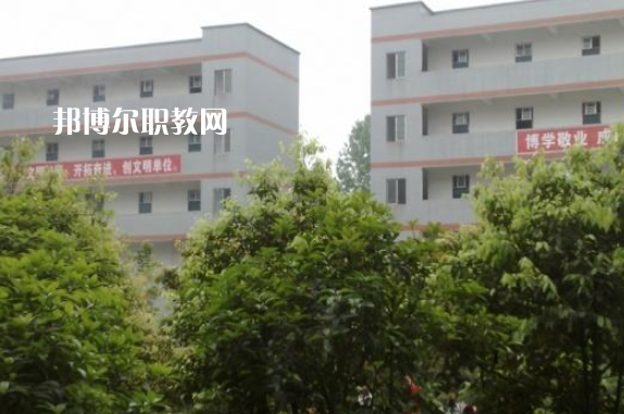 四川省井研縣高級職業(yè)中學2023年有哪些專業(yè)