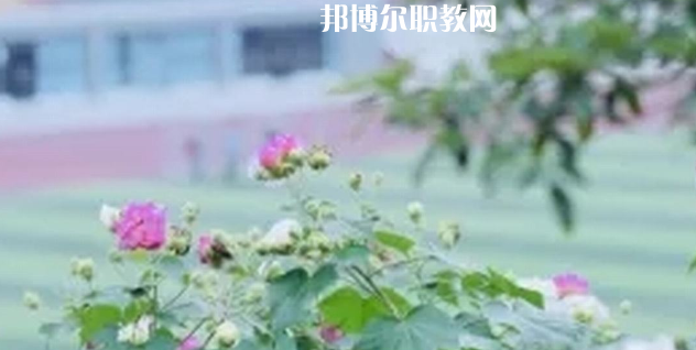眉山技師學(xué)院地址在哪里，哪個(gè)地區(qū)，哪個(gè)城市?