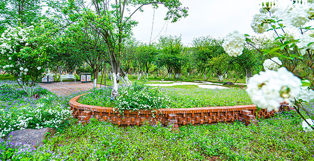 重慶望江技工學(xué)校地址在哪里，哪個地區(qū)，哪個城市?