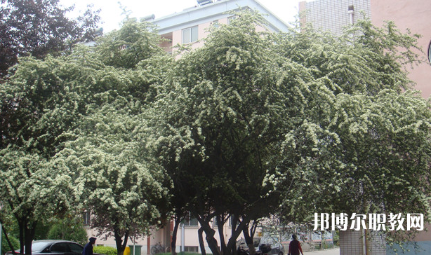 寶雞技師學院地址，乘車路線