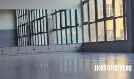 2023秦皇島市藝新舞蹈學校招生計劃 招生人數(shù)是多少(附要求、條件、對象)