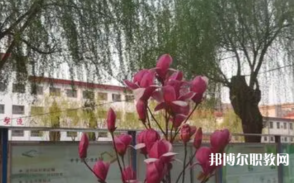 2023柏鄉(xiāng)縣職教中心招生計(jì)劃 招生人數(shù)是多少(附要求、條件、對象)