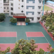 南陽市藝術中等職業(yè)學校